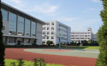 校园安全工作心得体会8篇