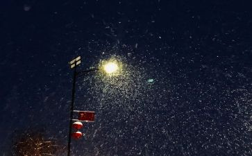 下雪了初中作文5篇
