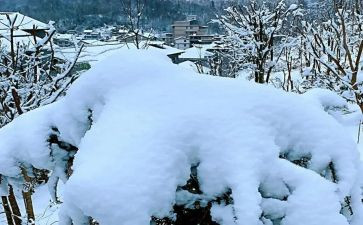 下雪了初中作文600字8篇