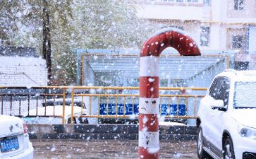 下雪了四年级作文5篇