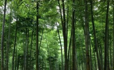 写物业工作计划通用7篇