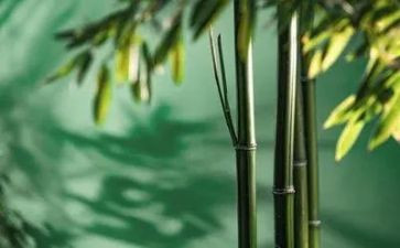 写物业工作计划8篇