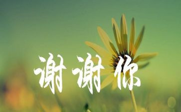 谢谢你陪我一路走过作文5篇