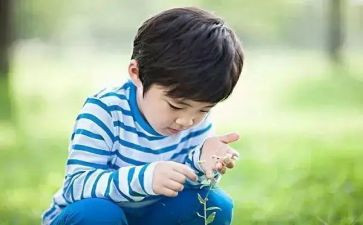 小学兴趣班活动总结推荐7篇