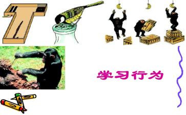 微行为心理学心得6篇