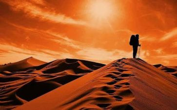 同行者读后感6篇