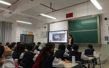 小学语文新课程标准2024最新版心得8篇