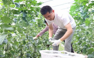 建设新农村调查报告7篇