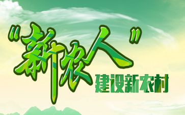 新农保年终工作总结8篇