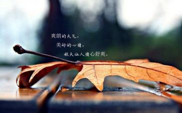 心情500字作文8篇