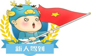 新人体会心得体会5篇