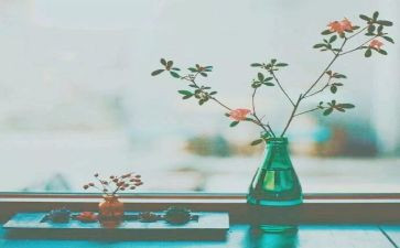 心中的他作文800字优质7篇
