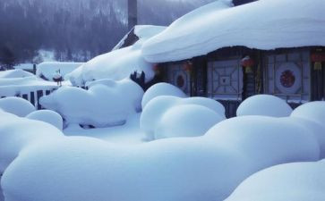 关于雪的演讲稿800字参考5篇