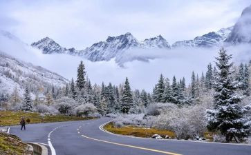 除雪实践活动总结最新6篇