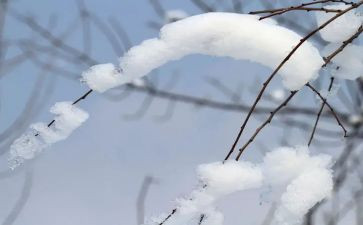 我爱雪作文推荐5篇