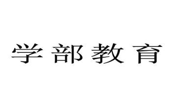 大学部门个人总结5篇
