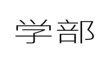 大学部长述职报告7篇