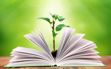 一年级语文下学期教学工作计划优质6篇