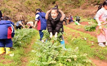 学农个人总结优秀6篇