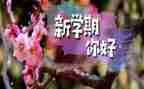 幼儿园大班一学期工作计划推荐5篇