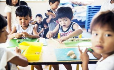 学前教育教育活动方案模板6篇