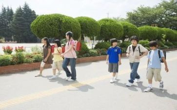 2023年学生个人总结范文优质6篇