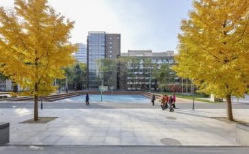 学校的活动演讲稿推荐6篇