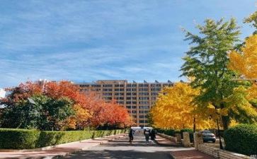 学校主题活动总结范文5篇