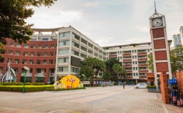 学校述职报告精选6篇