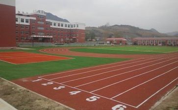 学校有关的调研报告7篇