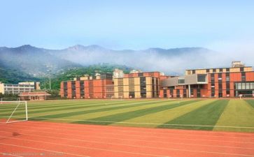 学校个人年度工作总结5篇