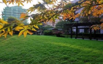 学校2024年工作总结优秀8篇