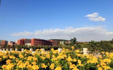学校的工作总结报告6篇
