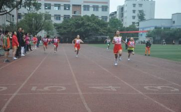 2024学校体育工作总结6篇
