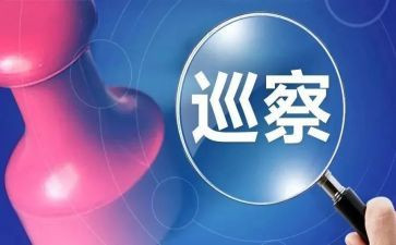 巡查工作总结6篇