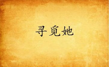 寻觅的作文参考8篇