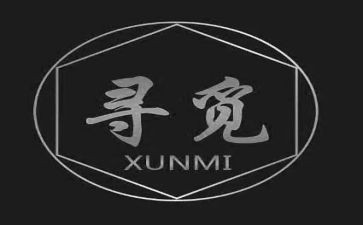 寻觅的作文模板5篇