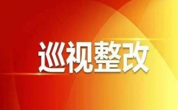 巡视工作个人工作总结8篇