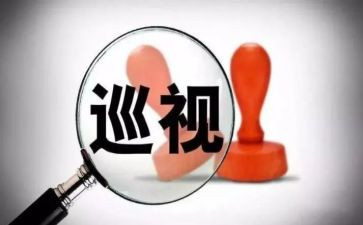 巡视工作总结8篇