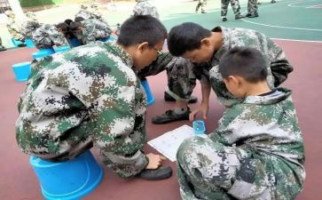 培训学校年度总结7篇