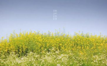 叙事的作文600字参考7篇
