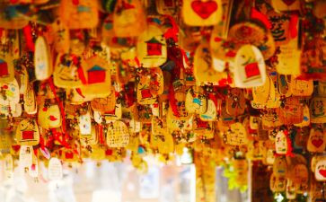 许愿花作文优质7篇