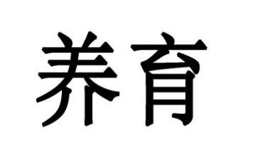 男孩的养育书读后感8篇