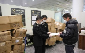 检验员工作计划总结8篇