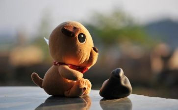 树叶旅行作文7篇