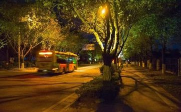 武汉日夜观后感600字6篇