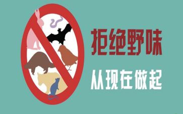 有关野味的演讲稿5篇