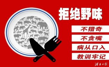 六年级拒绝野味的演讲稿7篇