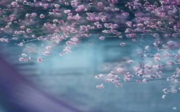 上一季度工作总结最新7篇