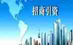 乡镇2024年招商引资工作总结7篇
